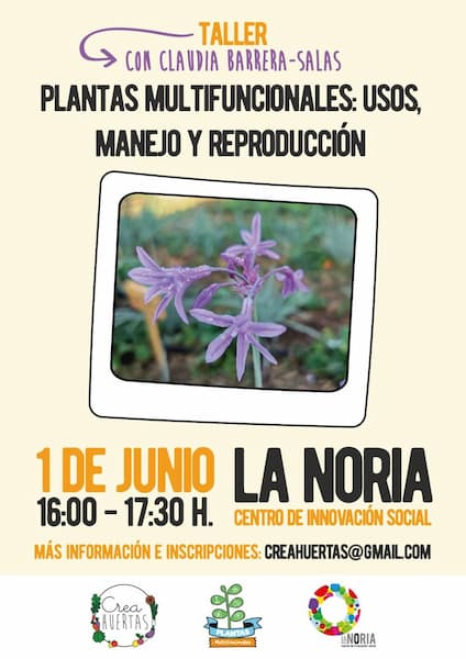 taller plantas multifuncionales: usos, manejo y reproducción, crea huertas, la noria,