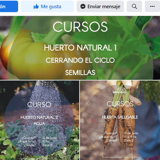 cursos huerto Marbella fundacion arboretum,