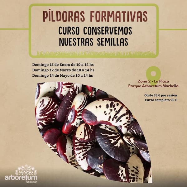 píldoras formativas