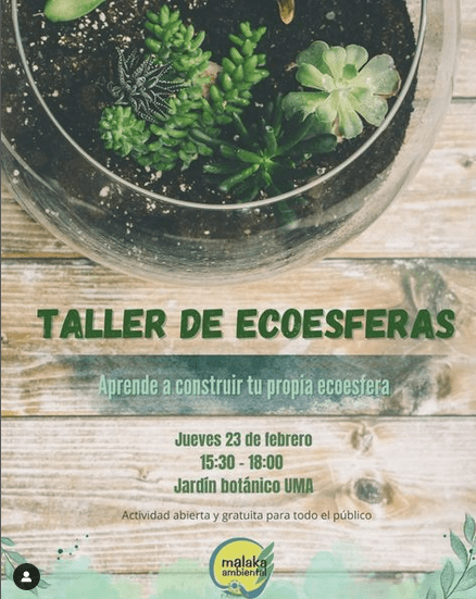 taller ecoesferas uma málaga,