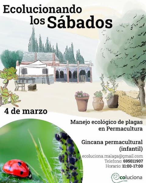 ecolucionando los sábados