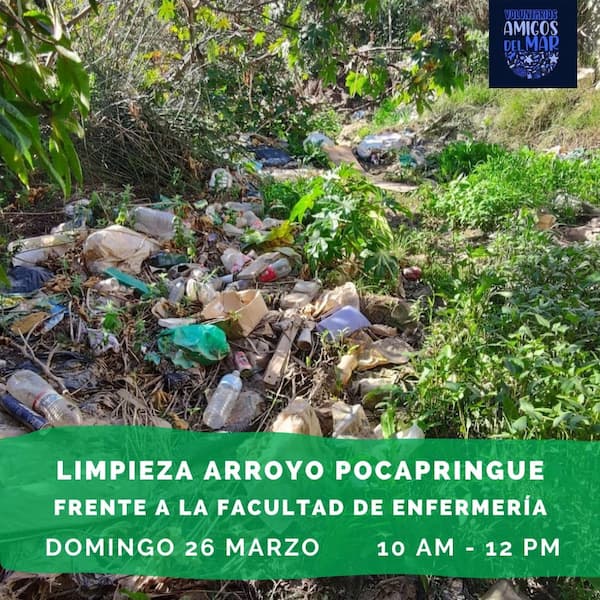 LIMPIEZA ARROYO POCAPRINGUE