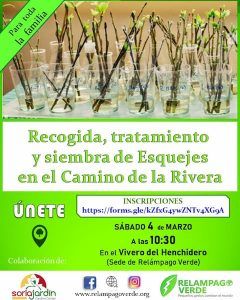 RECOGIDA, TRATAMIENTO Y SIEMBRA DE ESQUEJES EN EL CAMINO DE LA RIVERA
