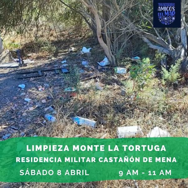LIMPIEZA MONTE LA TORTUGA