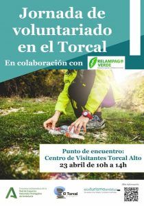 jornadas de voluntariado en el torcal