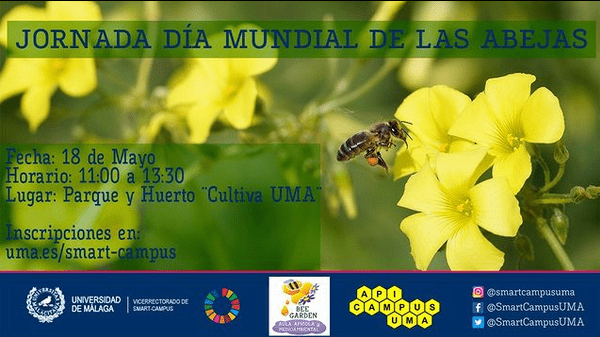 día mundial de las abejas smart campus uma