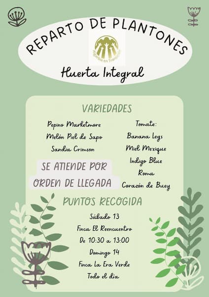 reparto de plantones