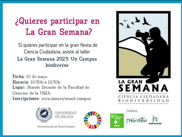 gran semana 2023