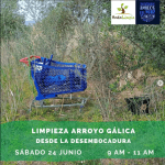 limpieza arroyo gálica