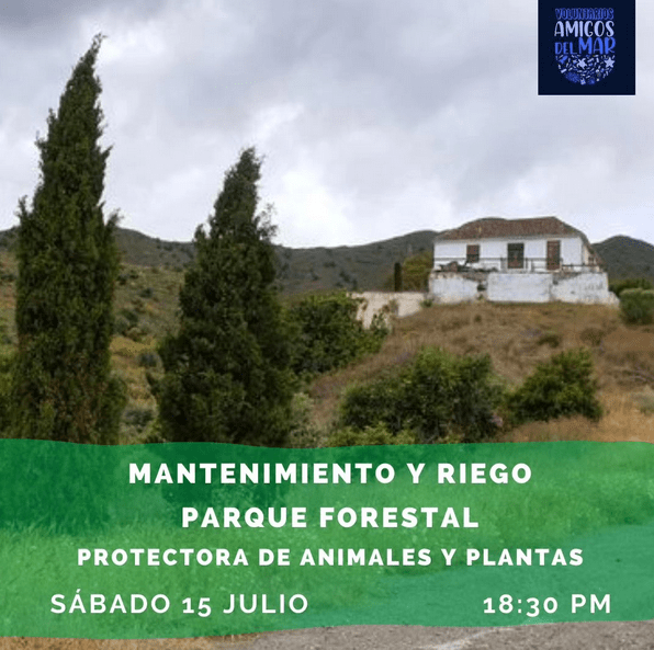 mantenimiento parque forestal