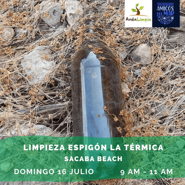 LIMPIEZA ESPIGÓN LA TÉRMICA