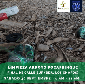 limpieza arroyo pocapringue
