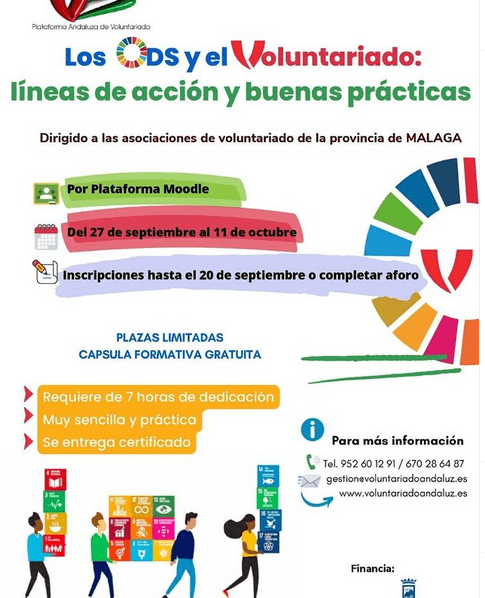 formación voluntariado y ods