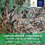 LIMPIEZA DESEMBOCADURA GUADALHORCE