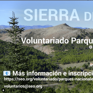 voluntariado sierra de las nieves