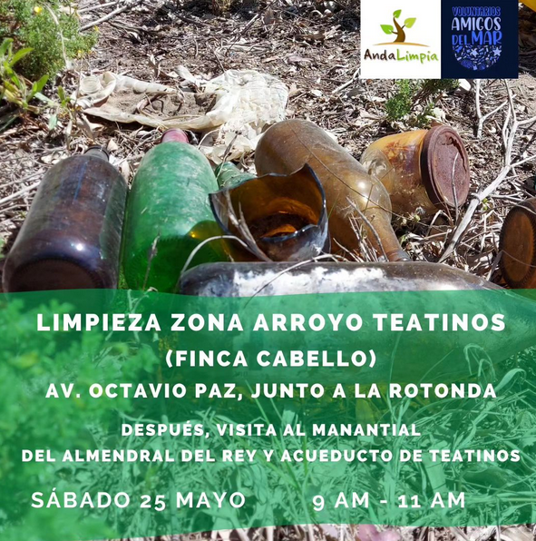 limpieza arroyo teatinos