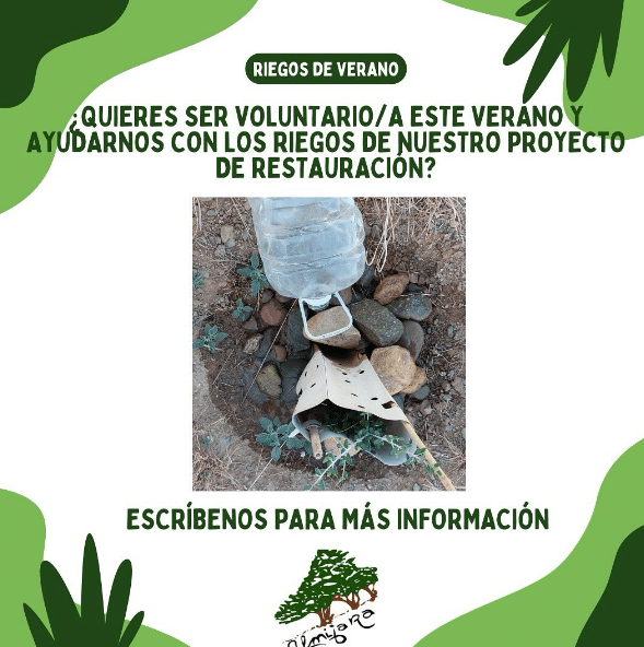 voluntariado