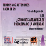 feminismos autónomos hacia 29j
