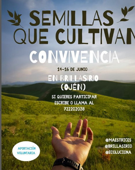 semillas que cultivan