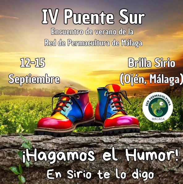 4º PUENTE SUR