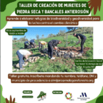 taller creación muros piedra seca y bancales antierosión