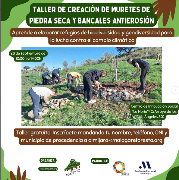 taller creación muros piedra seca y bancales antierosión