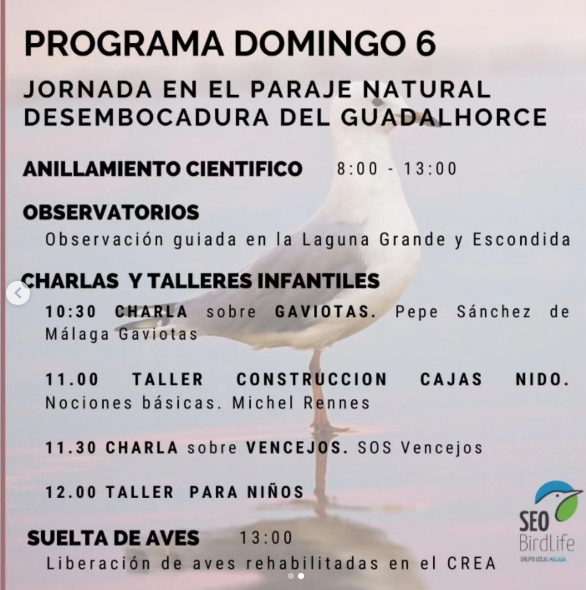 día de las aves